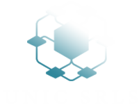 UNIC SRLS | Analyze any type of data for you