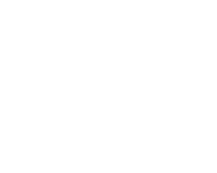 UNIC SRLS | Analyze any type of data for you